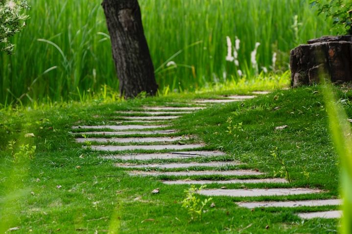 Feeling behind in life? Why changing direction isn't failure!